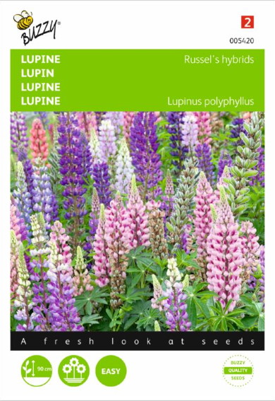 Lupine Russell Hybrids (Lupinus) 90 Samen BU
